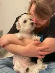 I really miss my boy gizmo. 