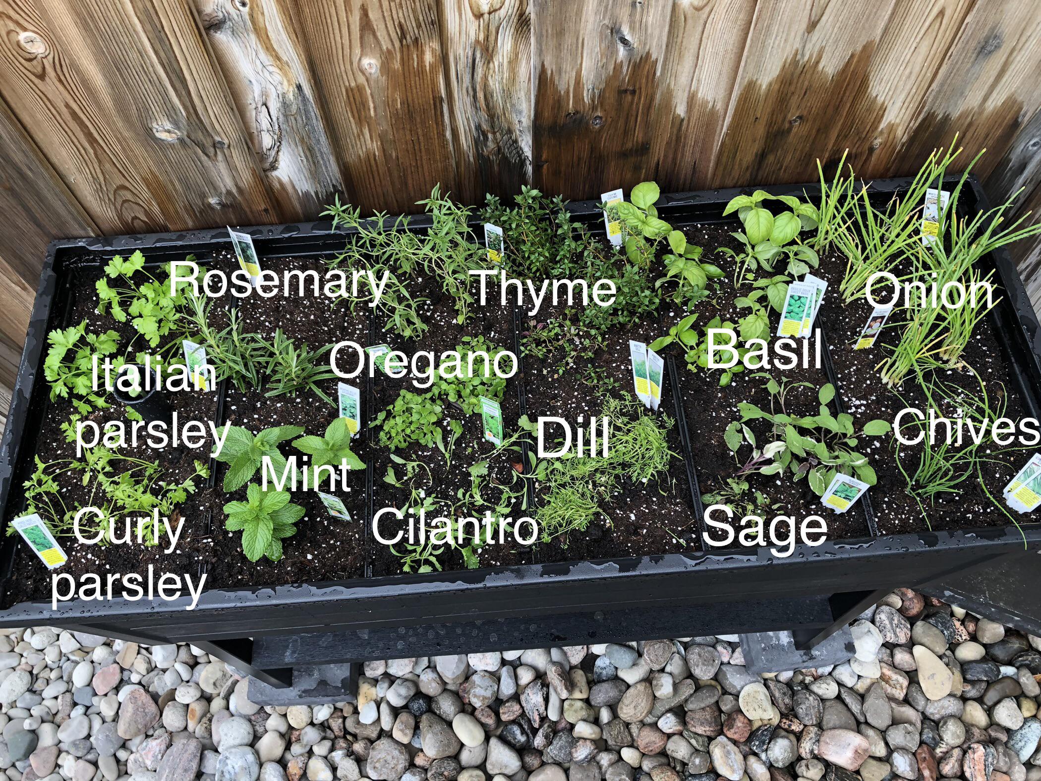 I think I messed up.. help needed