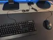 I use a USB switch between work and personnal computer. How could I manage better the excess cable length for keyboard and mouse?