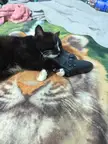 I want to play