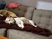 I want to sleep half as well as my boy