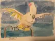 I watch “Barney The West Coast Cockatoo” on YouTube…