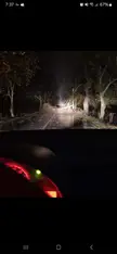 I will ram that tree. I've seen this before and no way I'm turning back