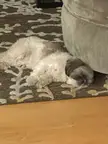 I wish I could be tired from doing nothing ❤️❤️