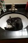 I wonder why my sink is clogged?