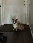 If I park myself in front of the door, mom and dad can’t leave me behind