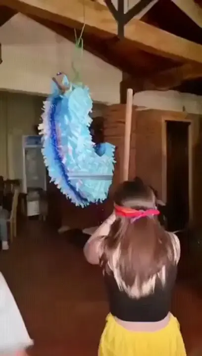 If you stand in for the pinata, you might be a dumbass.