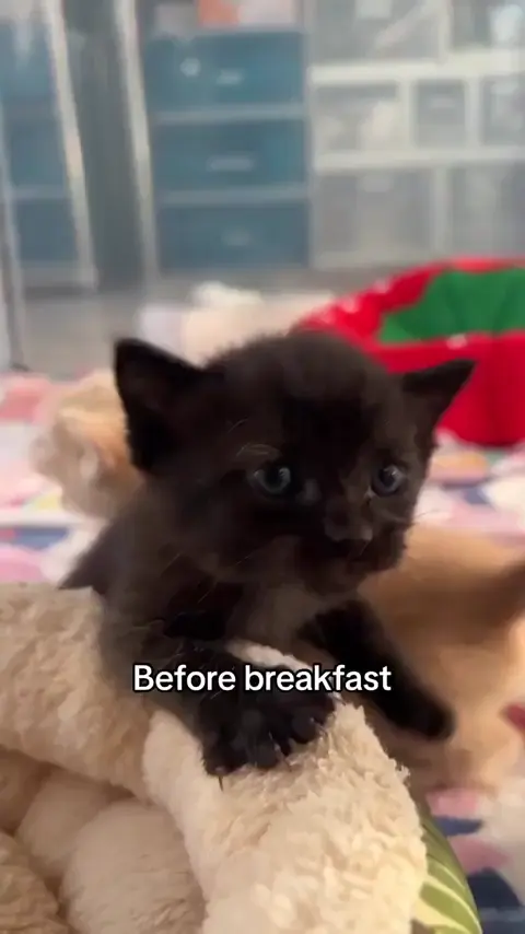 I'm exactly the same before every meal