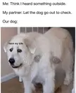 I'm in huge trouble now right?