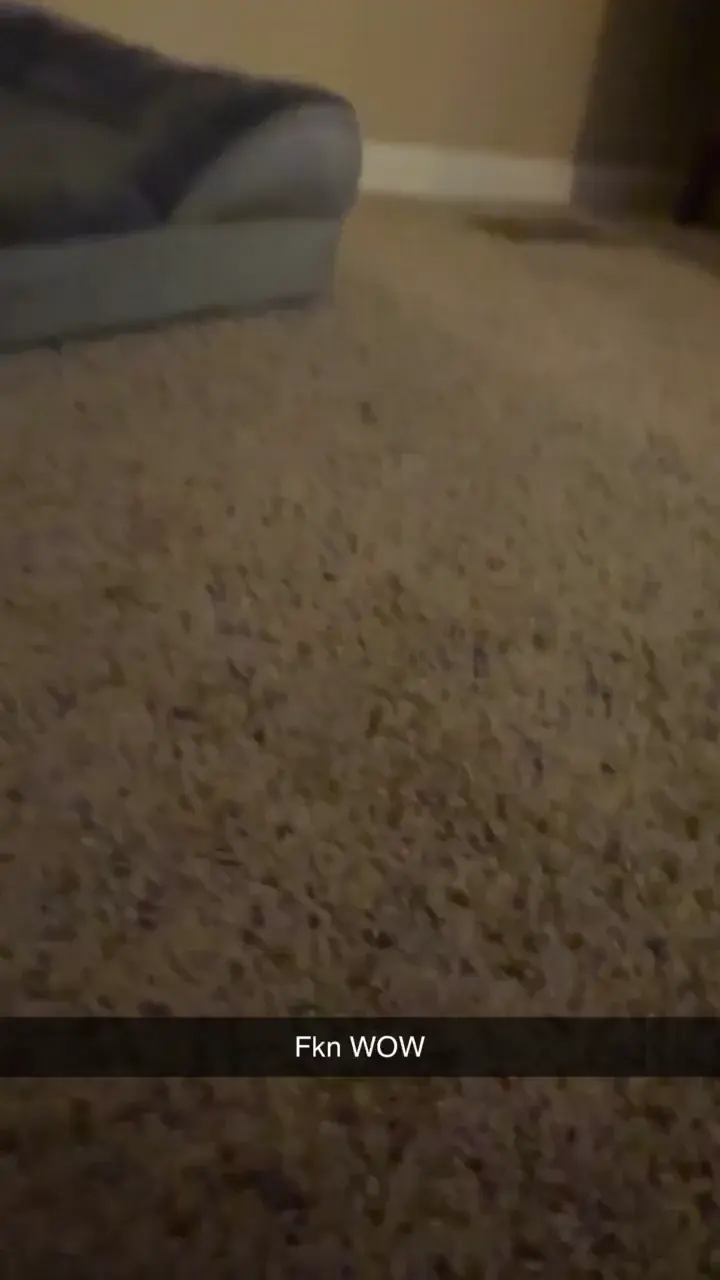 Inside zoomies