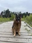 Introducing my best friend 