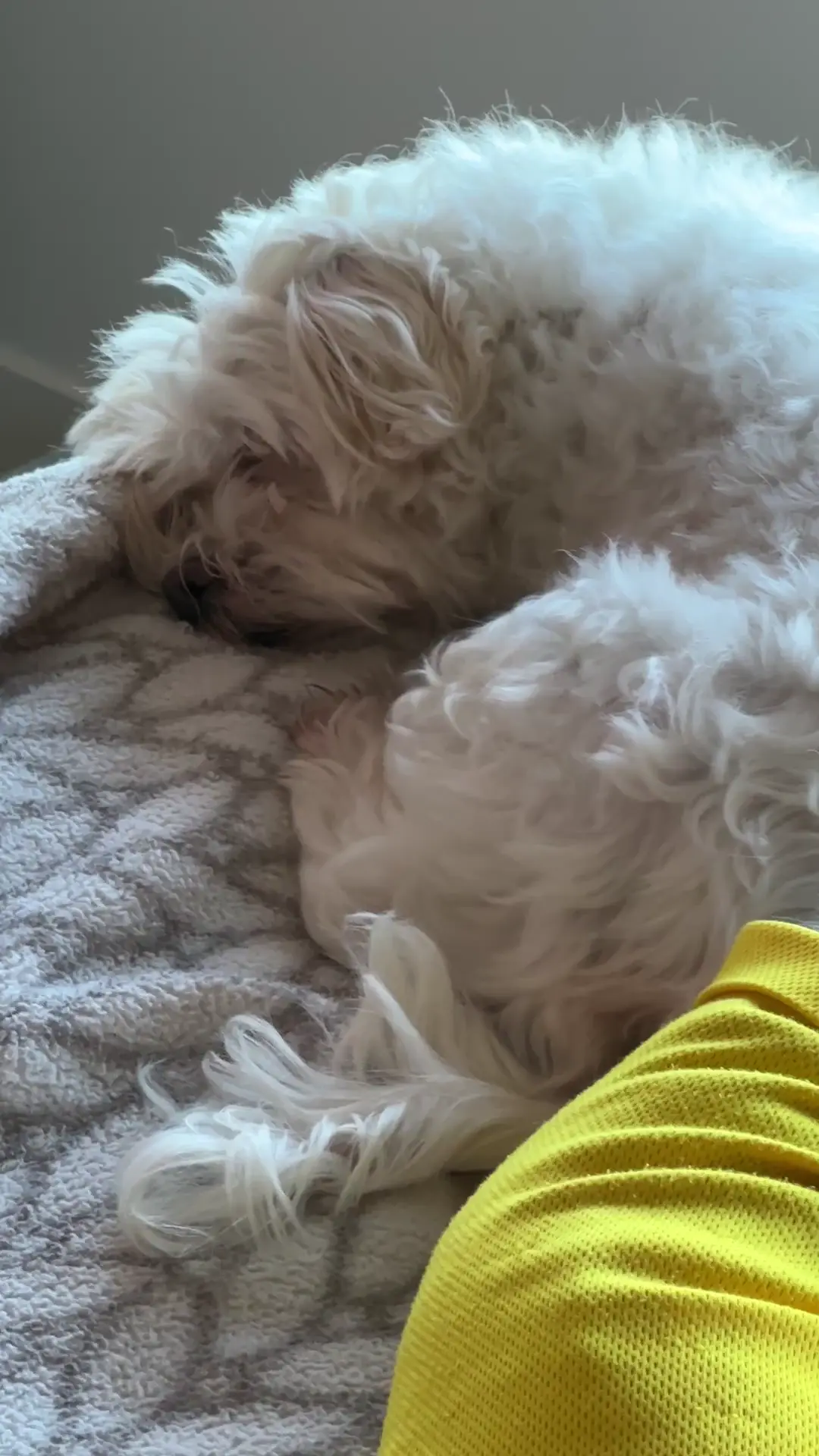 Is he having a nightmare? Volume up. He’s never done this before. Nightmare?