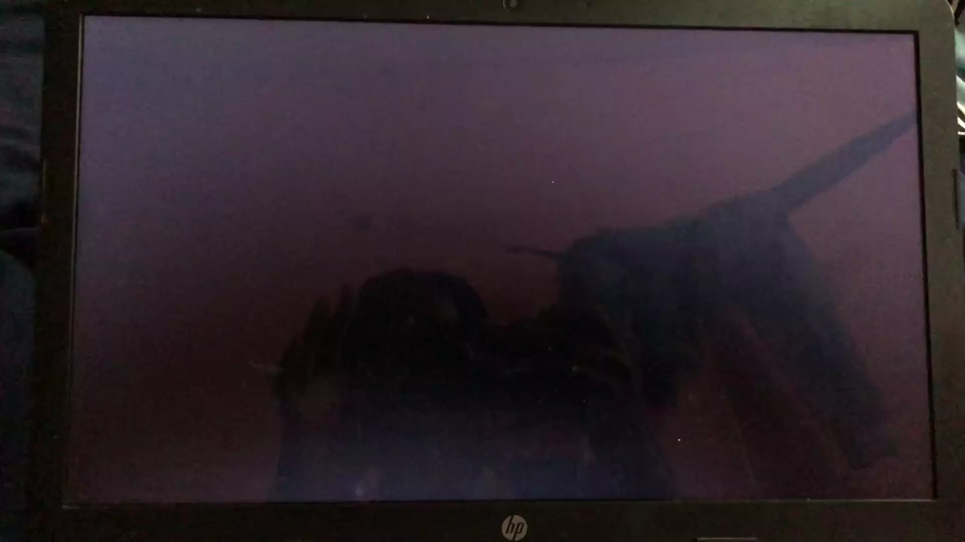 Is this a corrupt bios?
