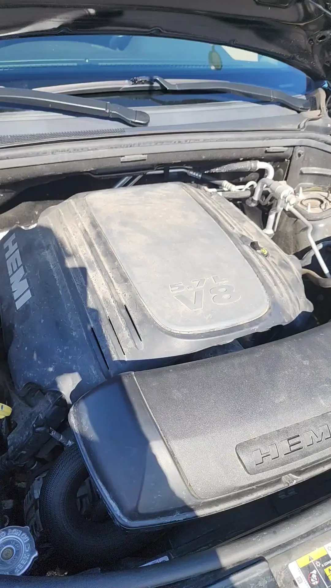 Is this the hemi tick?