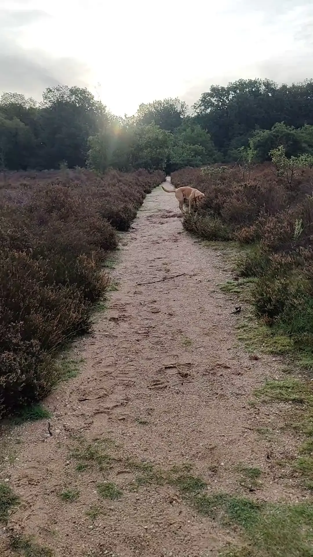 It's a beautiful day 