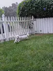It's always pure chaos when sister comes over!