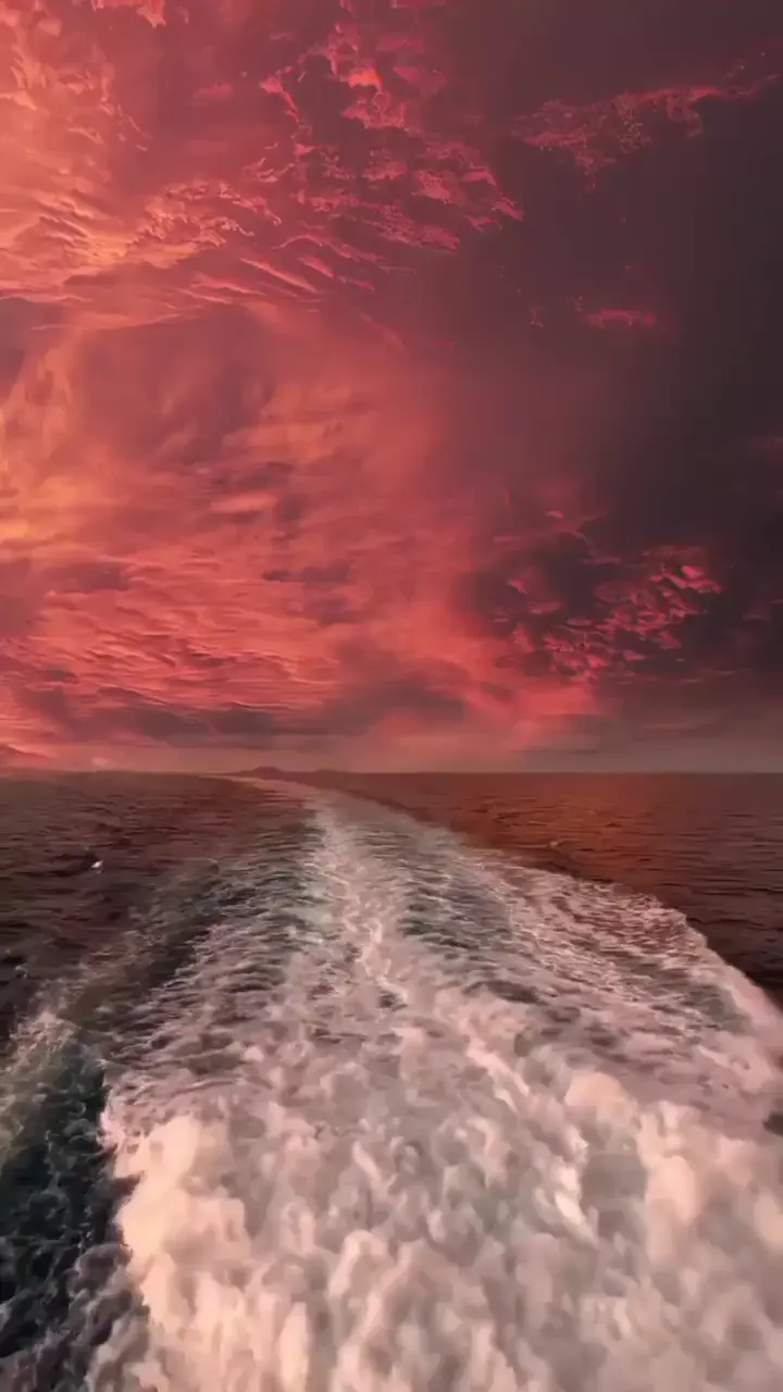 It's insanely beautiful