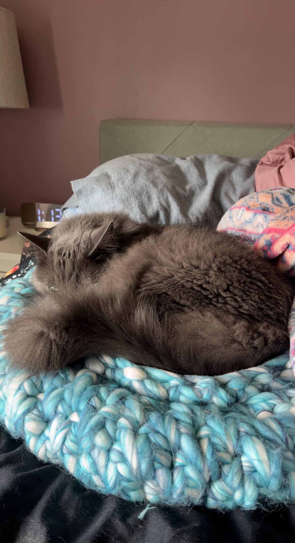 “Leave me alone, mom” a series | Scrolller