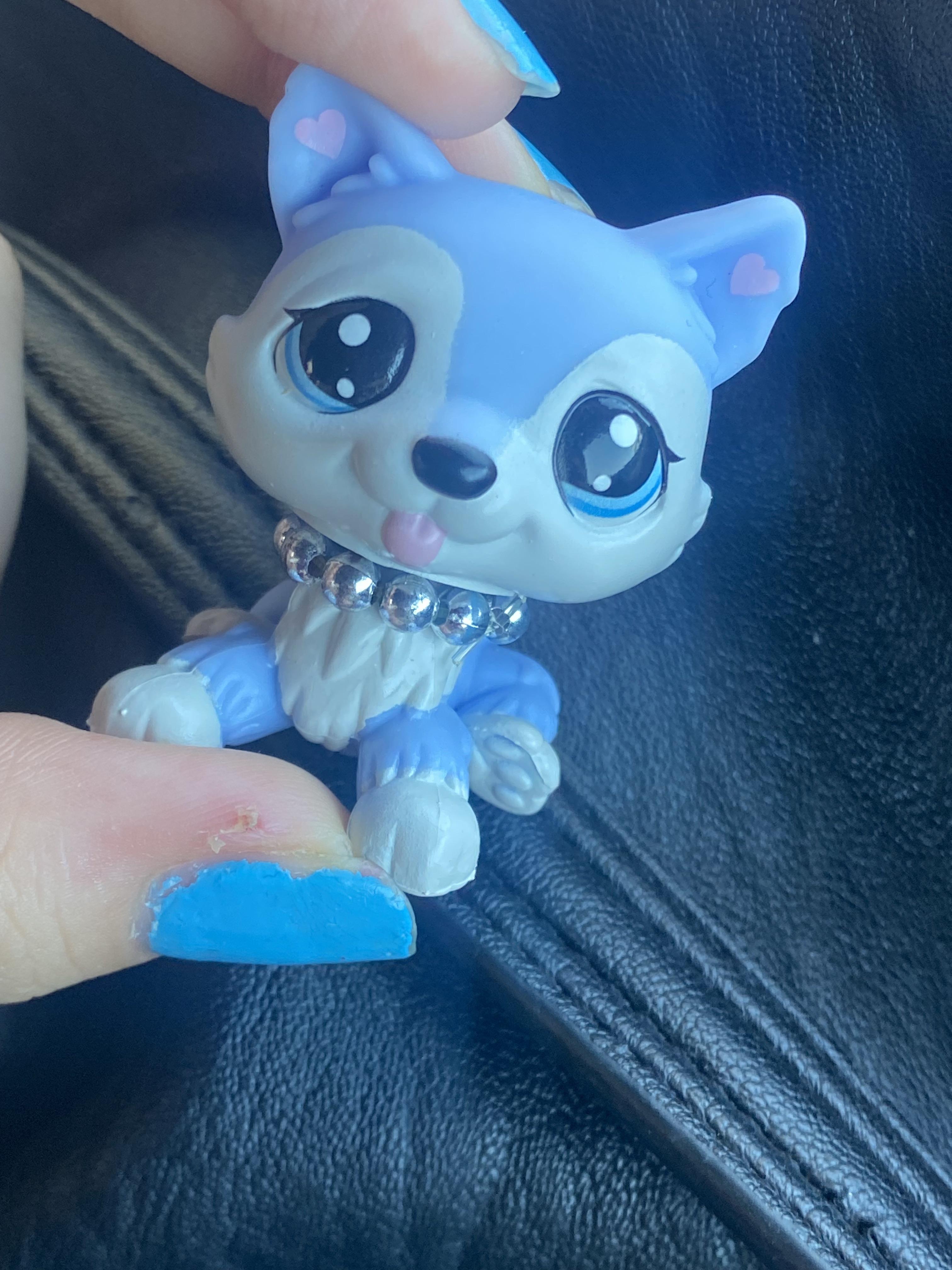 A hand with blue nail polish holding a G7 Littlest Pet Shop husky toy dog with a sparkly collar.