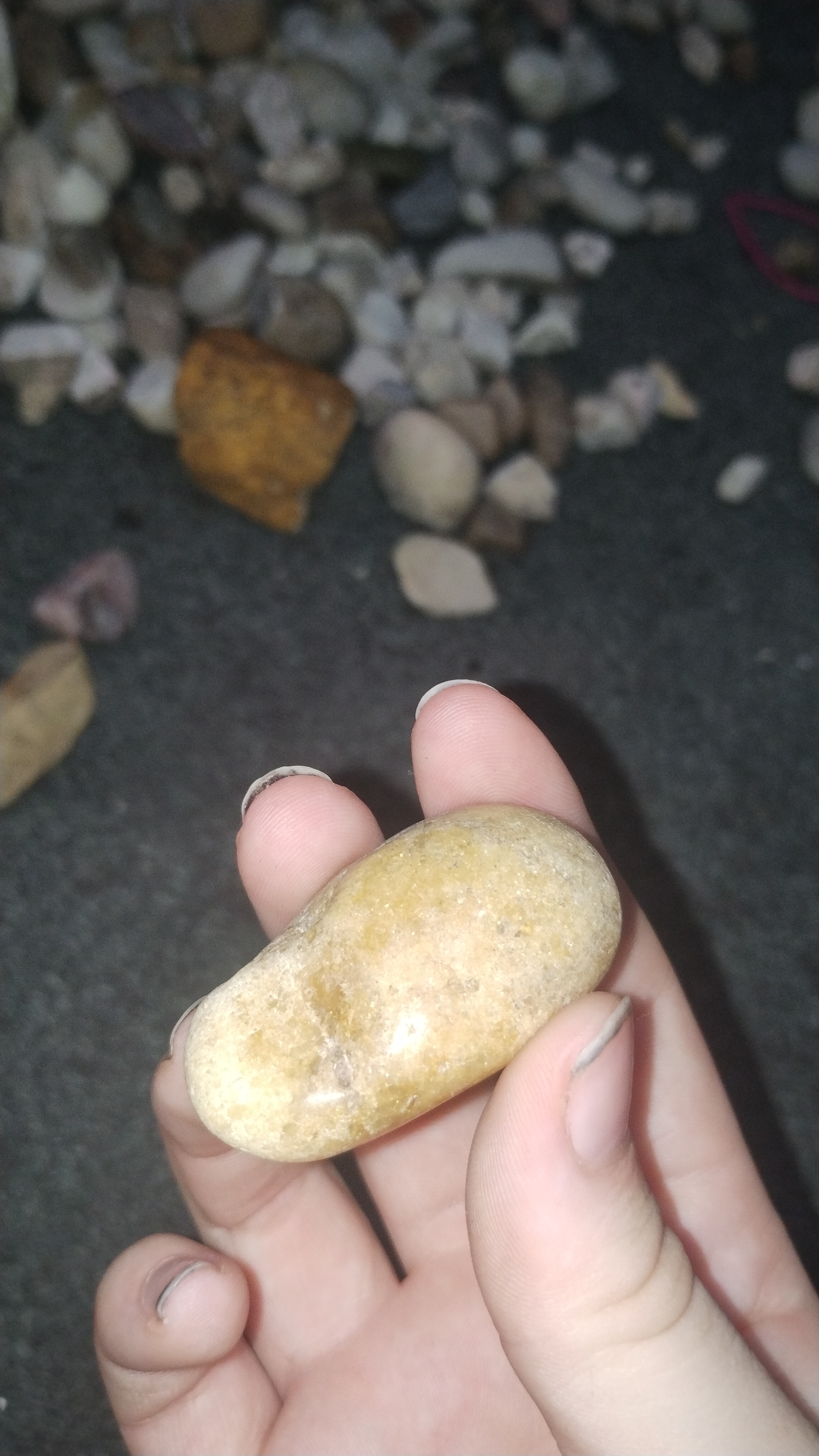 Scrolller Rocks Discover more like Whatsthisrock: What is this rock and why is it ...