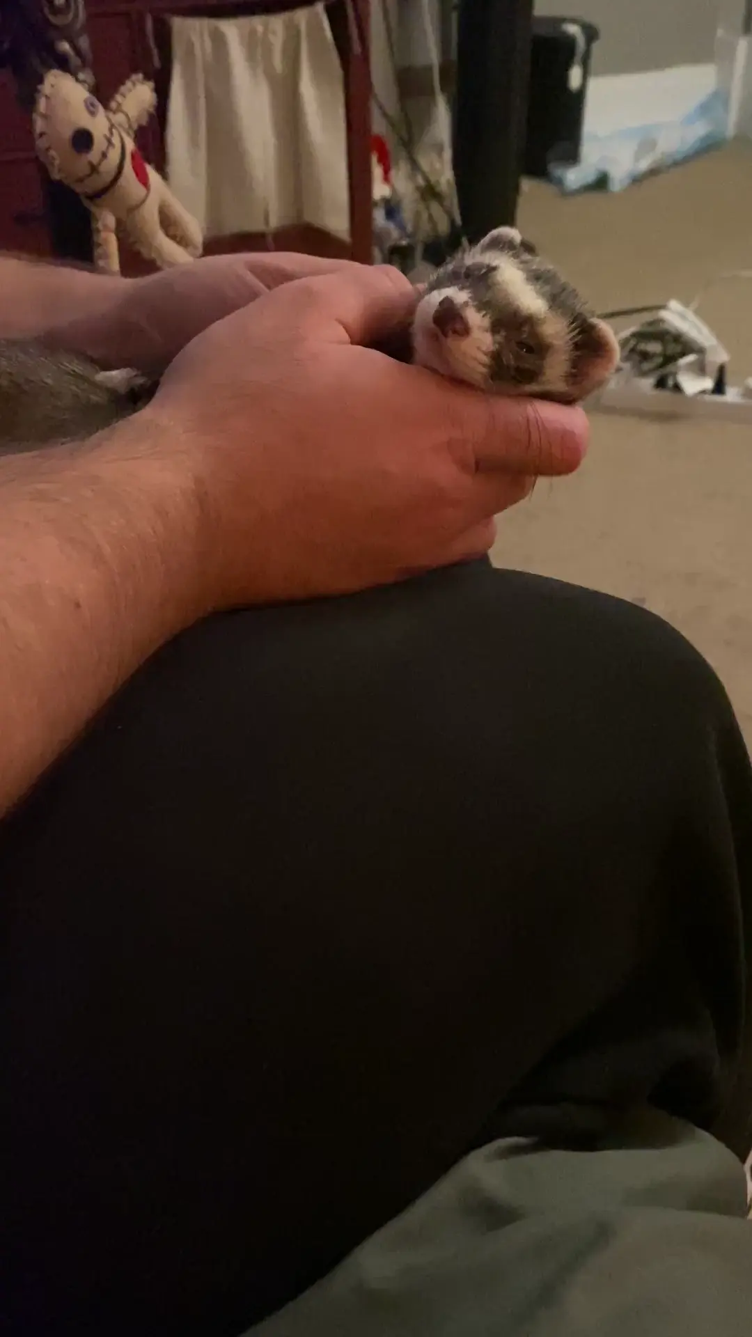 Juno Enjoying Scratches