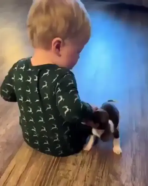Just a boy meeting his new best friend for the first time
