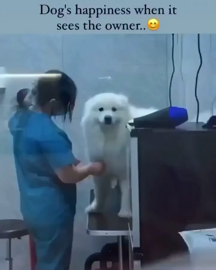 just awwwwwwwww