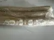 Just took it out of the freezer. Is it bad?