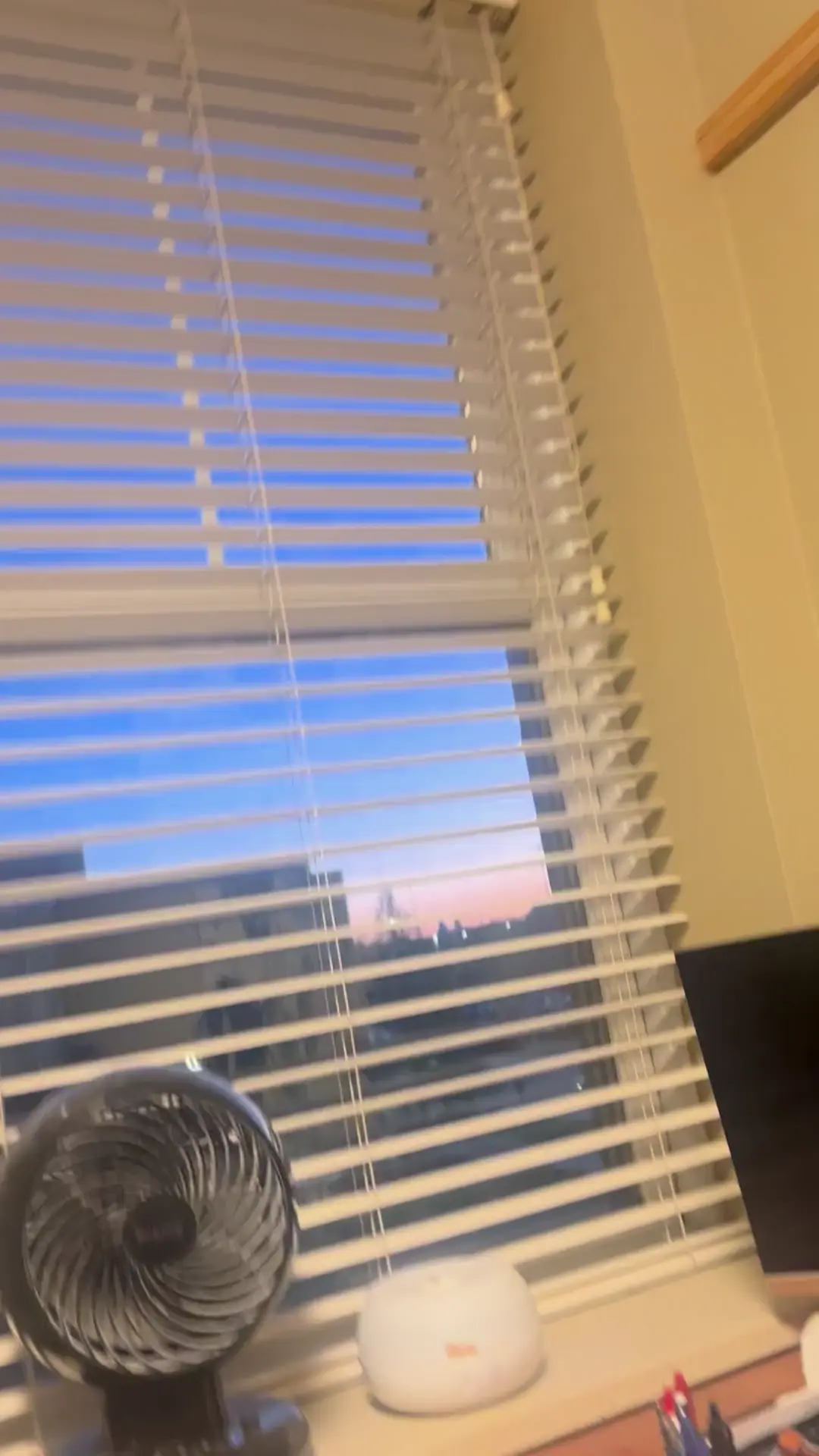 Keep hearing these strange noises from outside 