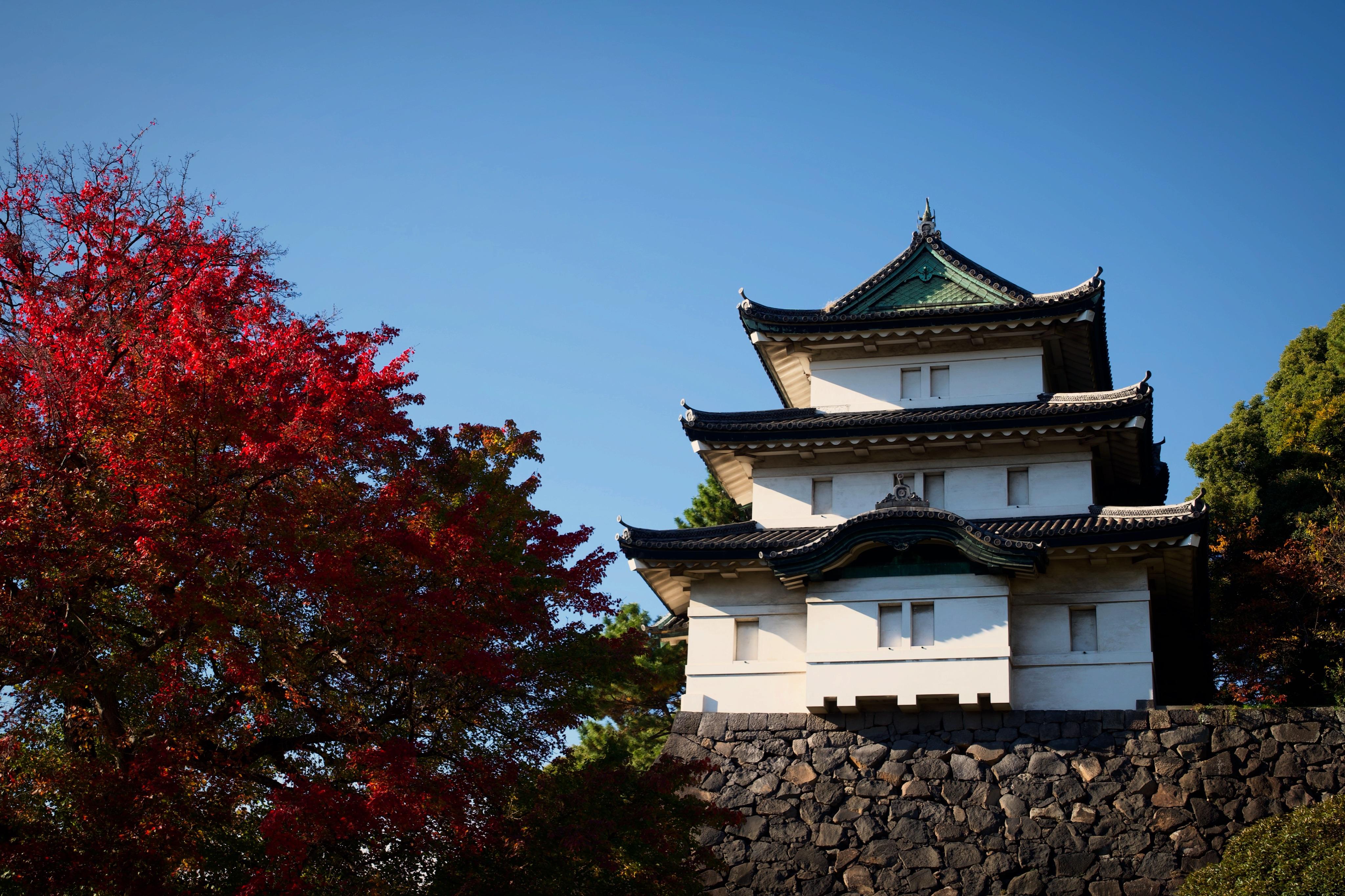 Edo Castle, Tokyo | Scrolller
