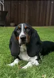 Laid outside pretty much all Labor Day! 