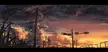 Last sunset of 2016 by 両島原線