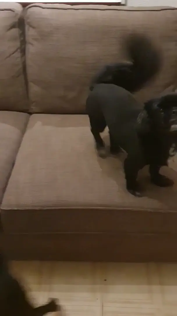 Late night play