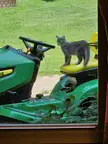 Lawn care worker