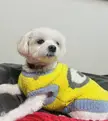 Leave me alone, stop taking pics and let me sleep!