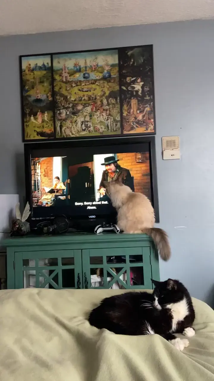 Leonardo DiCaprio cat