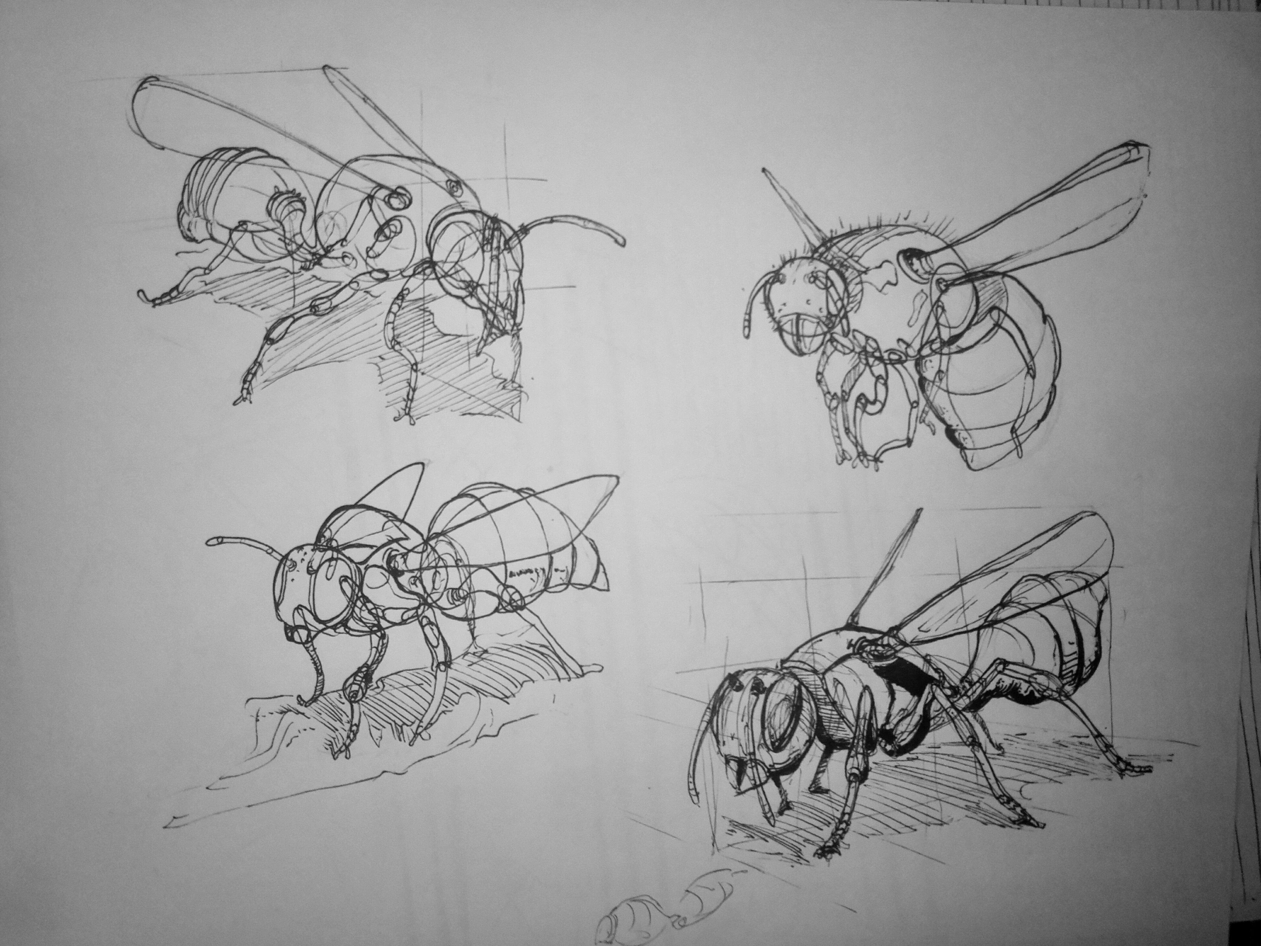 lesson-4-insects-3-drawing-through-forms-1-detailed-scrolller
