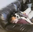 let's go take a nap together