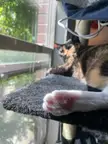 Lettin’ the beans hang loose