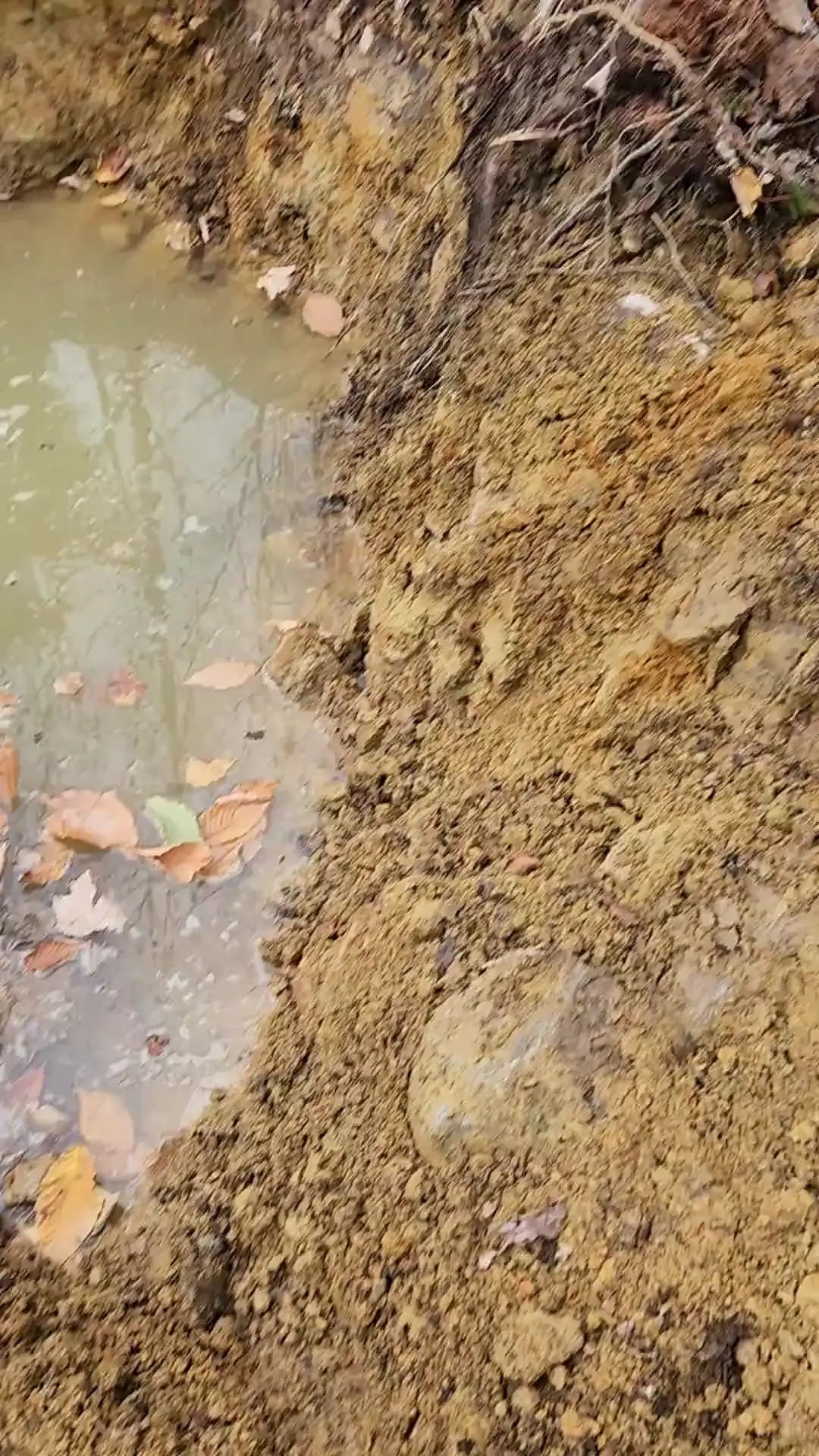 Leveraging water table for a livestock pond?