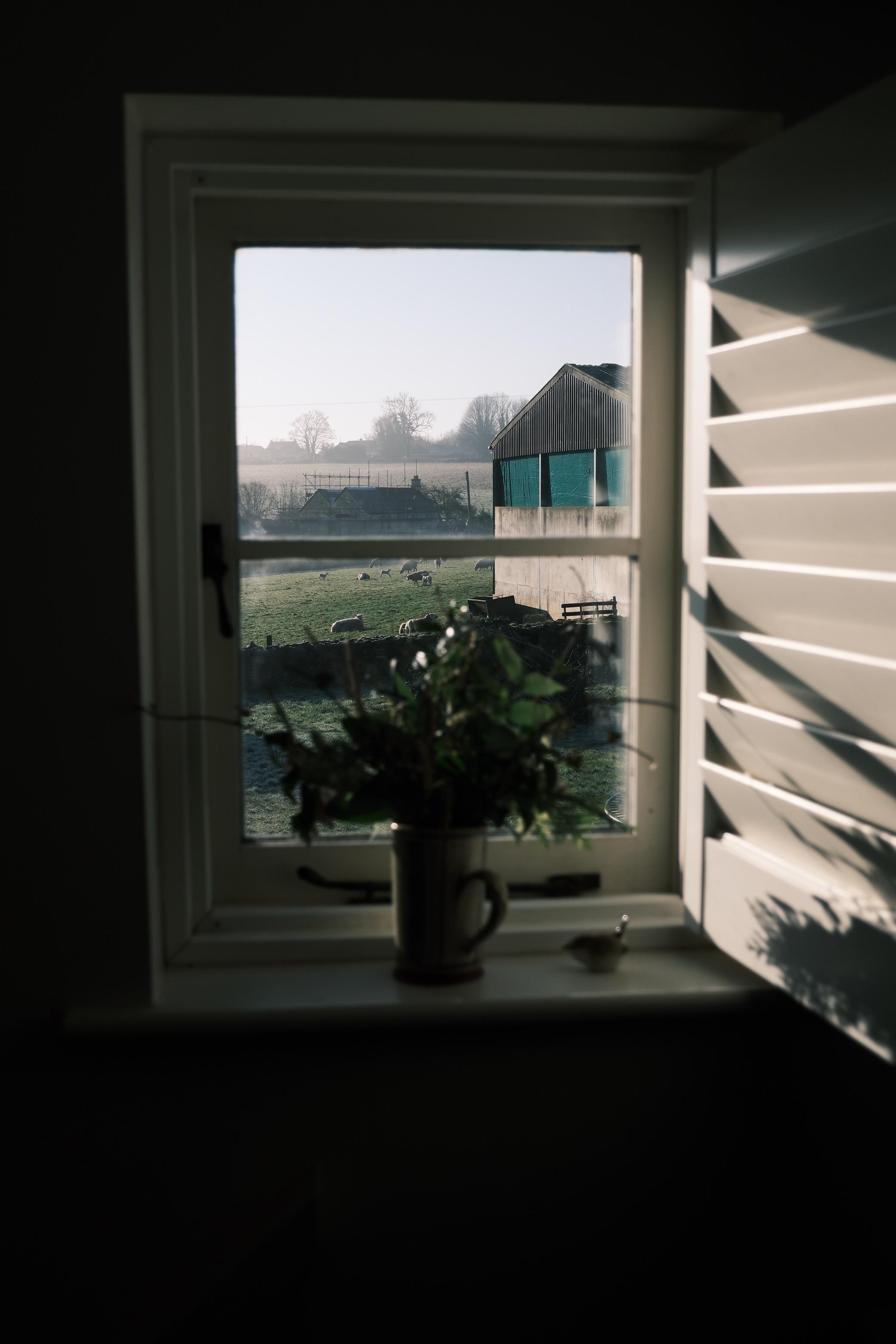Moody Fujifilm X-M5 shots of a person with a tattoo sleeve, a city street at night, and a houseplant by a window.