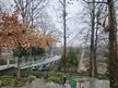 bridgeporn