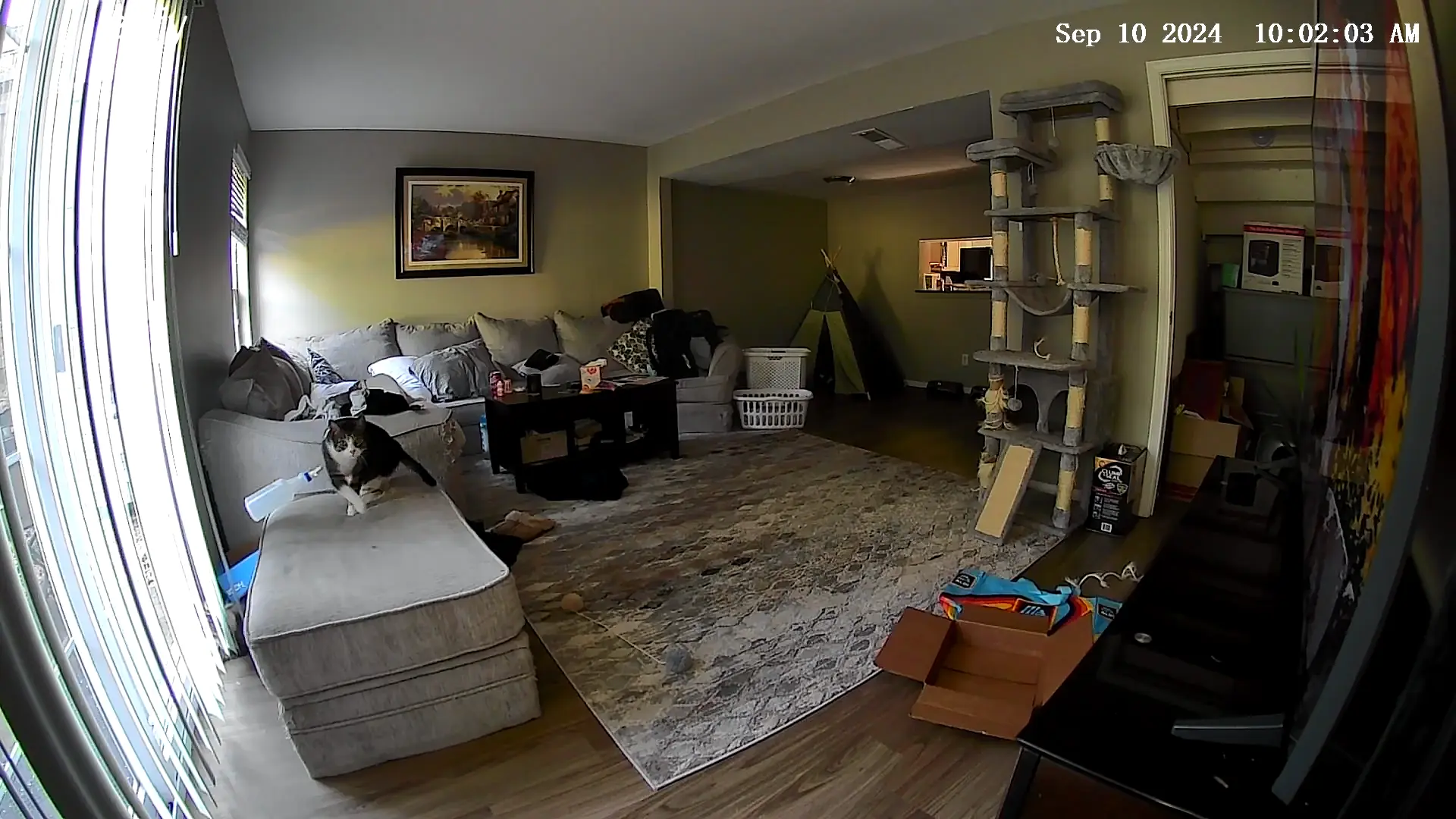 Lightning quick reflexes. 