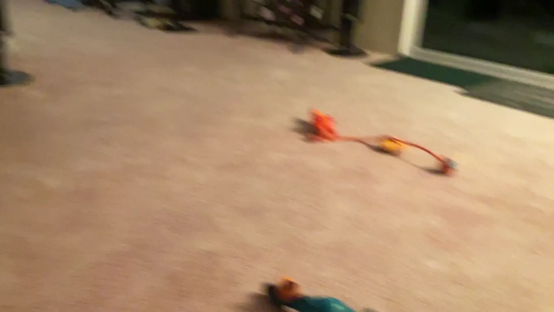 Little Ricky Watches “The Lily Lou Zoomies Show”