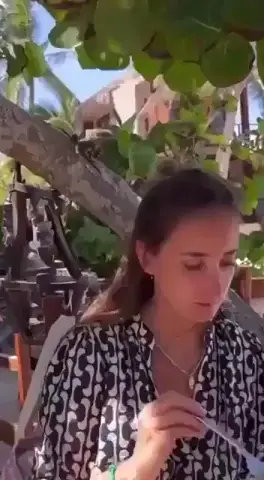 Lizard suddenly jumped over