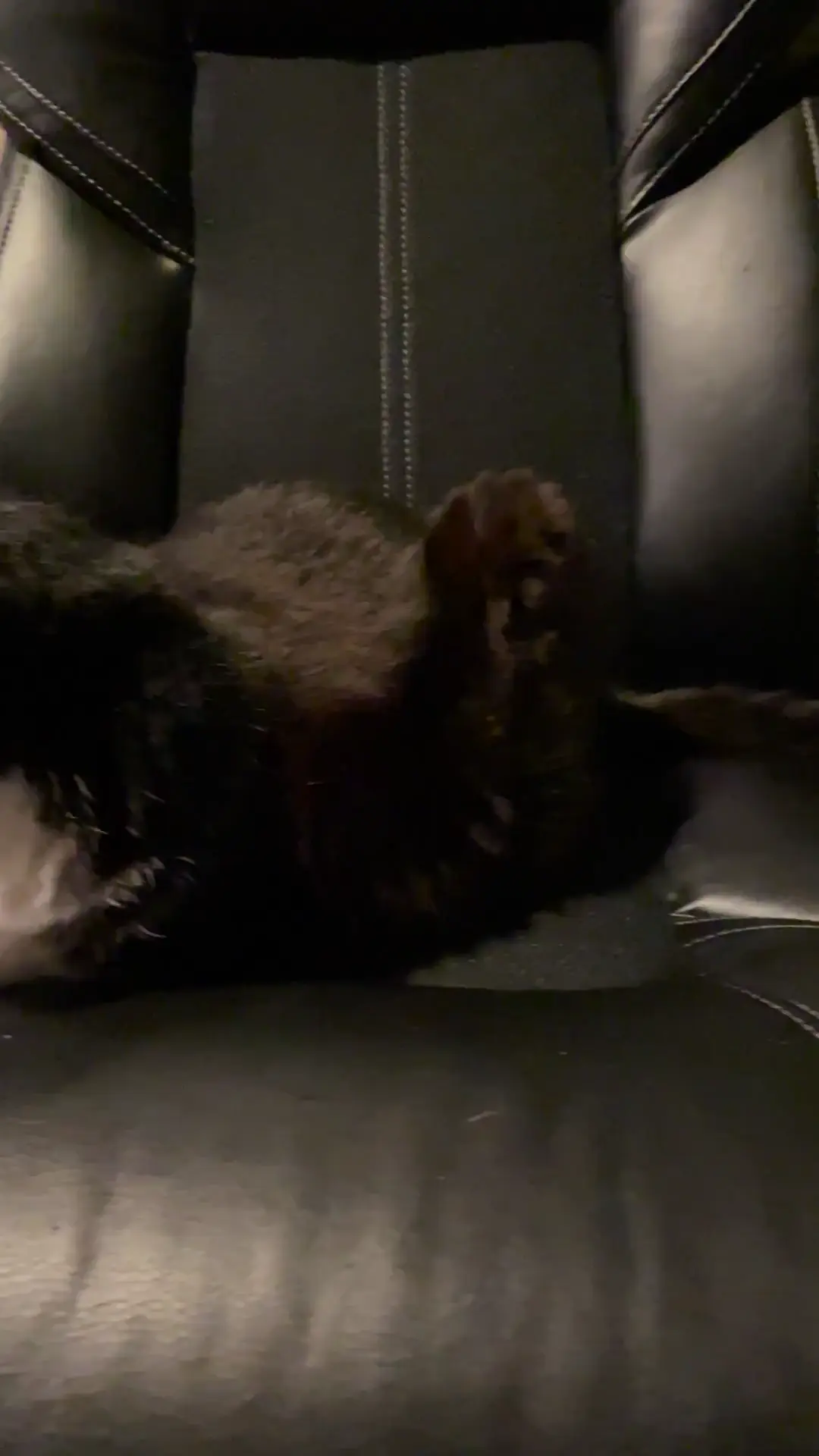 Loaf mode (🍞)-> Lick mode (👅)