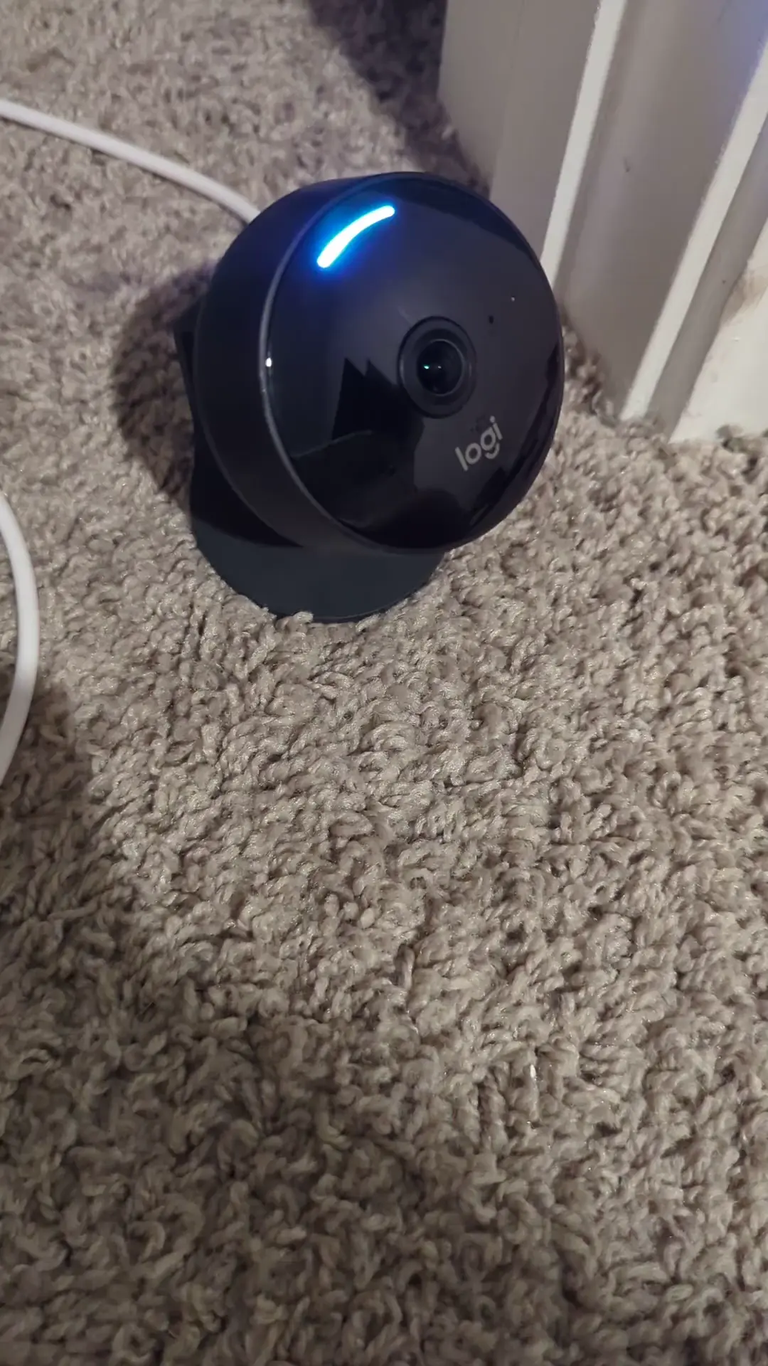 Logitech Circle View Strobing Error