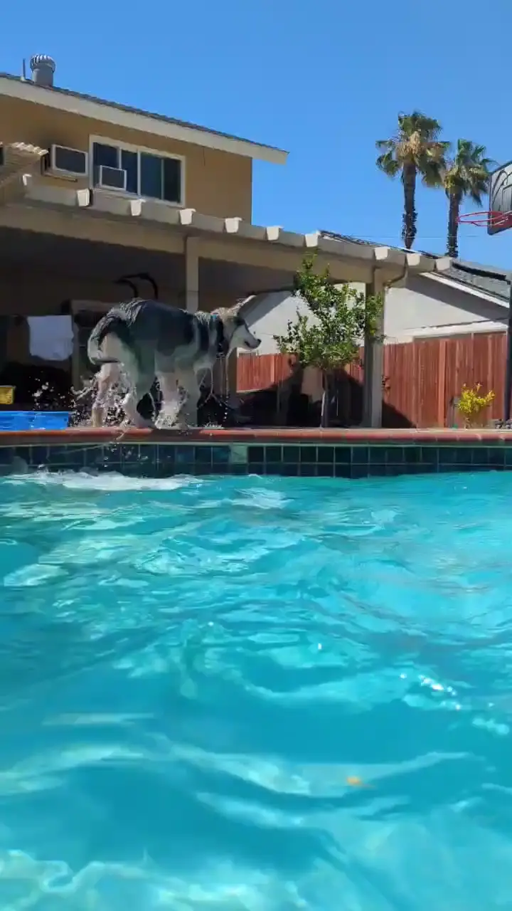 Look at that form!