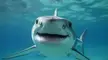 Look at the smile on this guy 