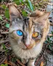 Look me in the eyes.